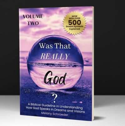 VOLUME TWO: Was that REALLY God? A Biblical Guideline in Understanding How God Speaks in Dreams and Visions